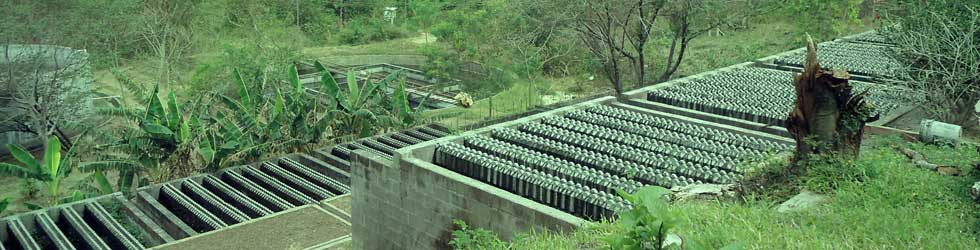 Planta de Tratamiento de Aguas